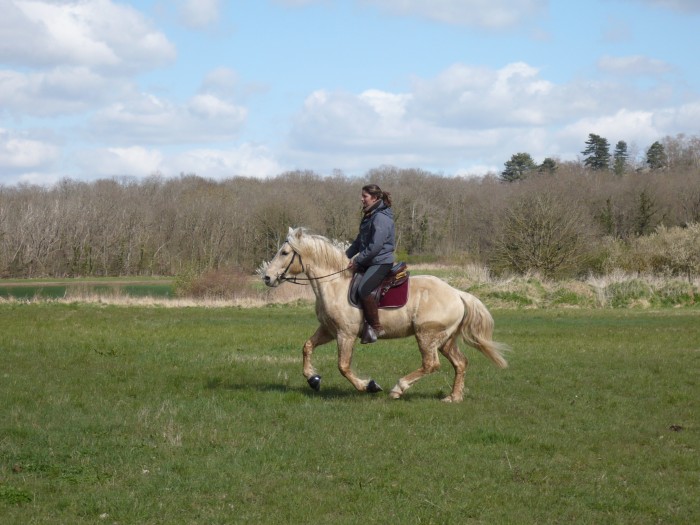 Photo de profil de charlene45