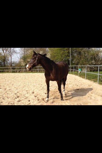 Photo de profil de charlinemnd