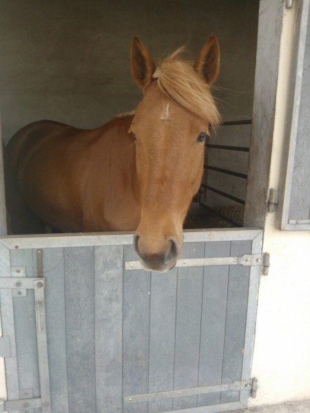 Photo de profil de charloune_valse