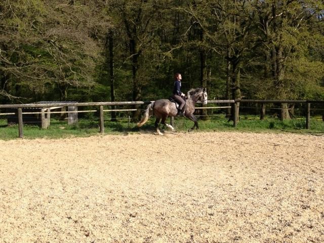 Photo de profil de charmois