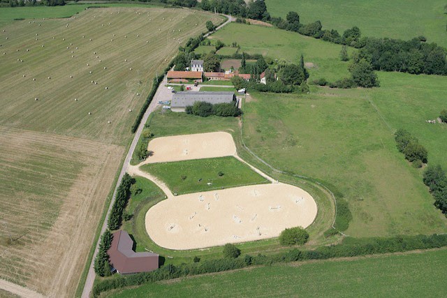 Photo de profil de cheval21000