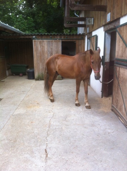 Photo de profil de cheyenne95