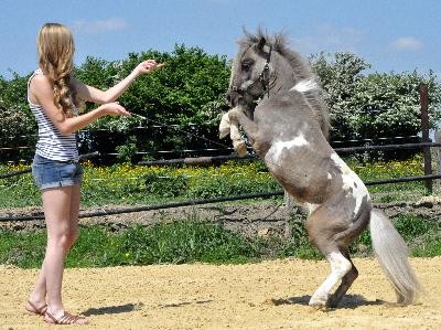 Photo de profil de chloemery