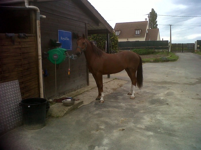 Photo de profil de choupilove