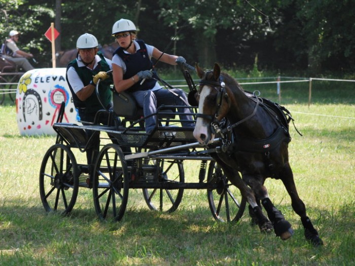 Photo de profil de chris598