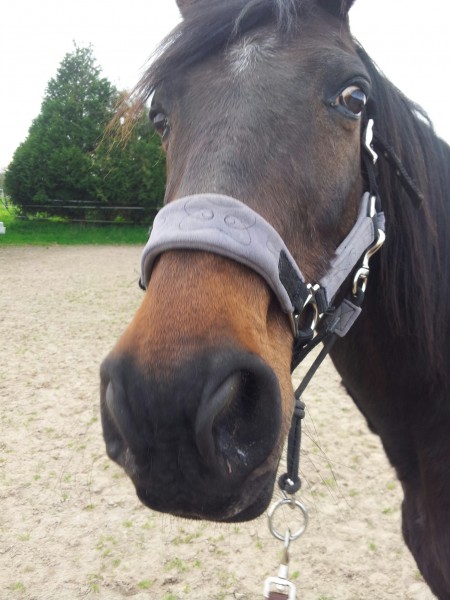 Photo de profil de chrisiris