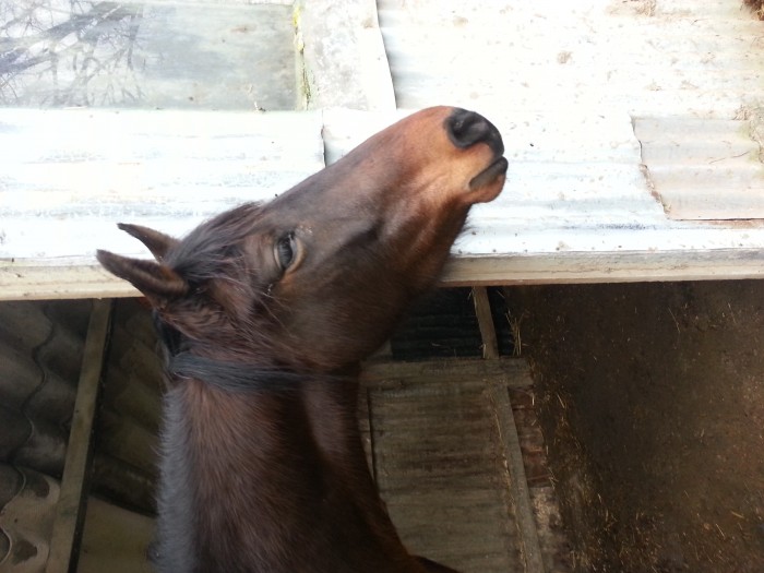 Photo de profil de cindy62330
