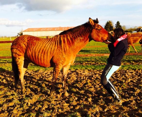 Photo de profil de clem5