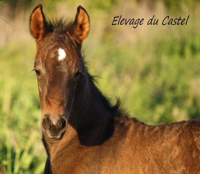 Photo de profil de coraldabroa