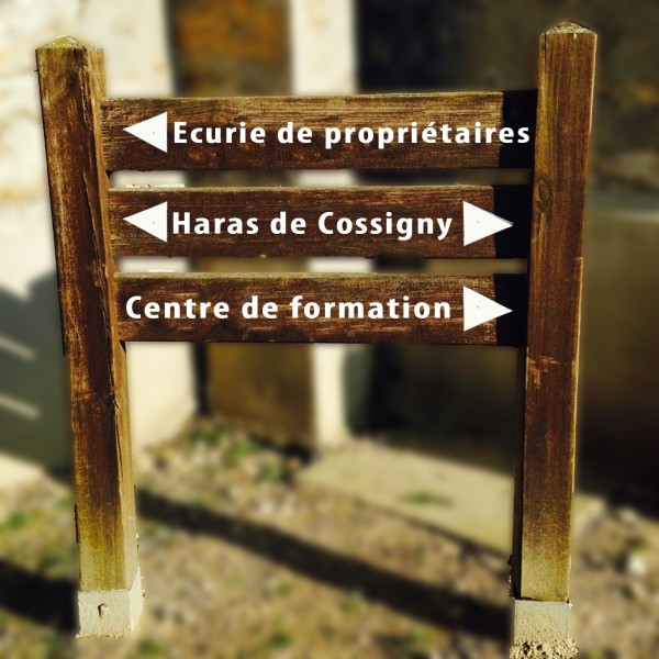 Photo de profil de cossigny