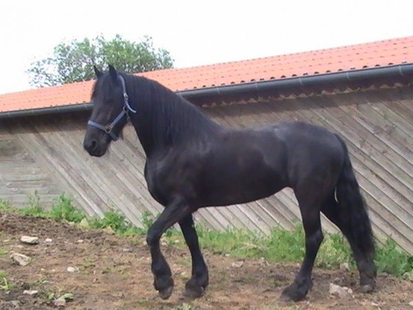 Photo de profil de cotuand