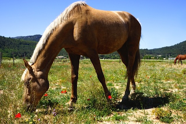 Photo de profil de cynsontheroad