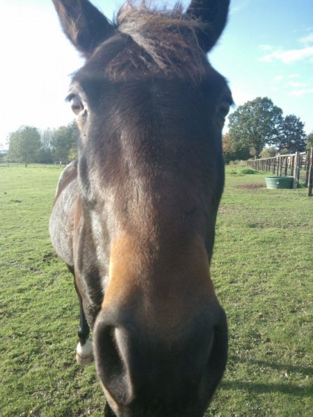 Photo de profil de didoudu89
