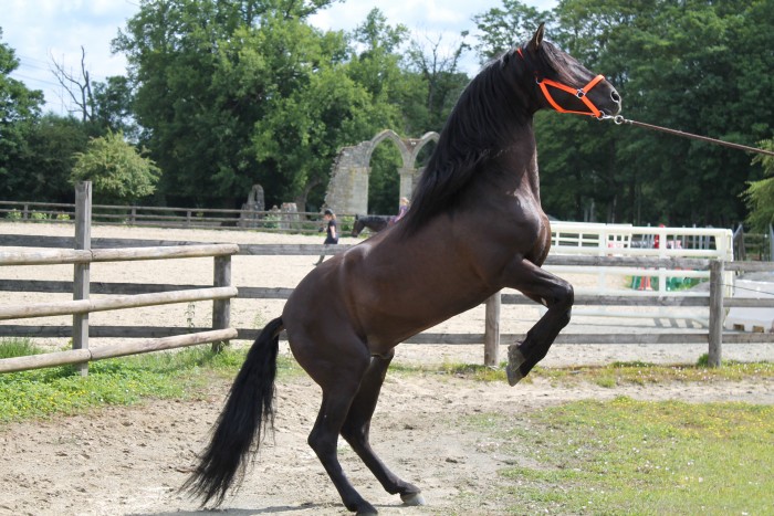 Photo de profil de dimex77