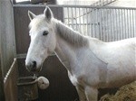 Photo de profil de domino54540