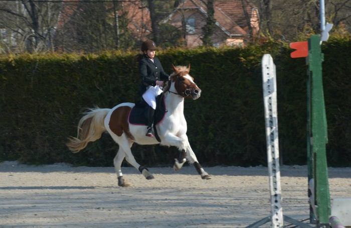 Photo de profil de dragibuuus