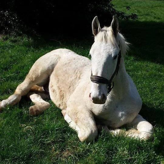 Photo de profil de dragon59