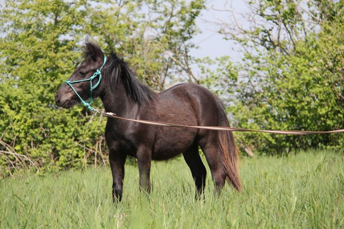 Photo de profil de dunky