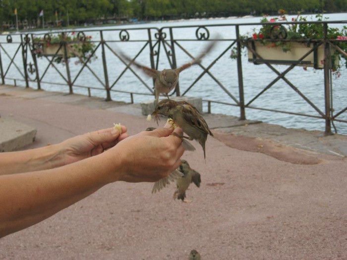 Photo de profil de eden77