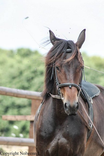 Photo de profil de elise35330