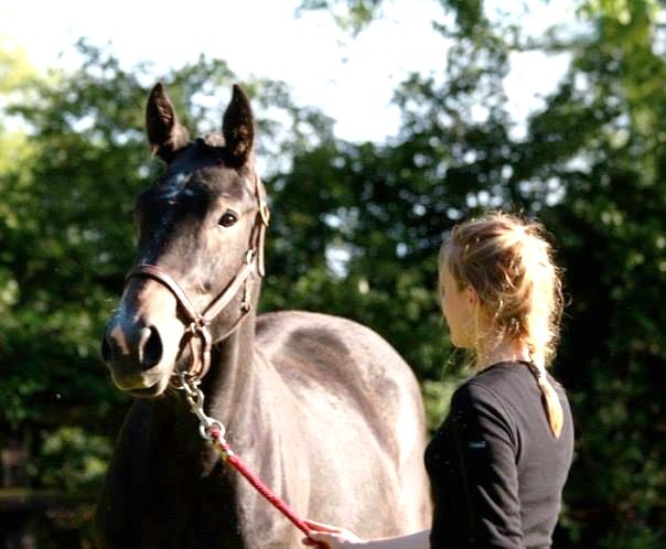 Photo de profil de elsa746