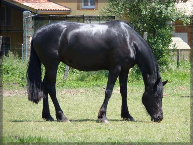 Photo de profil de emelinejoly