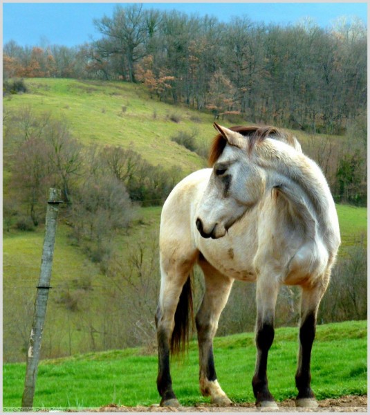 Photo de profil de emmamacias3