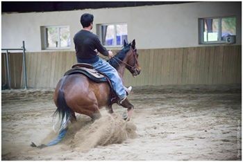 Photo de profil de enjy