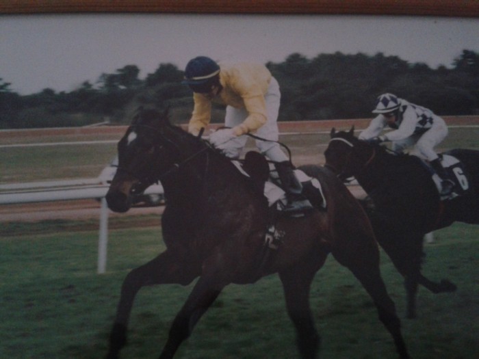 Photo de profil de enzoloujade