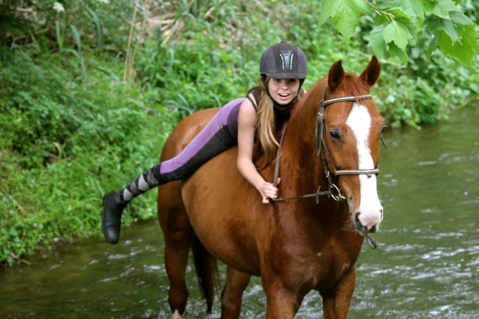 Photo de profil de equestriangirl