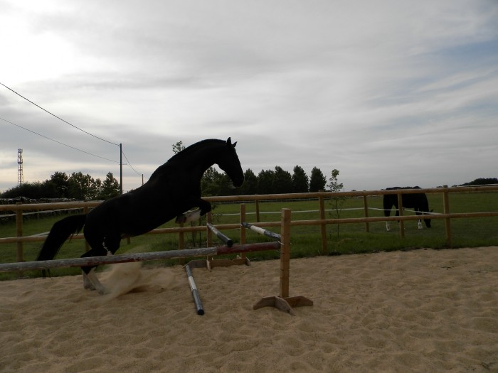 Photo de profil de esprit2