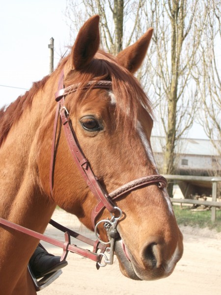 Photo de profil de evaeska