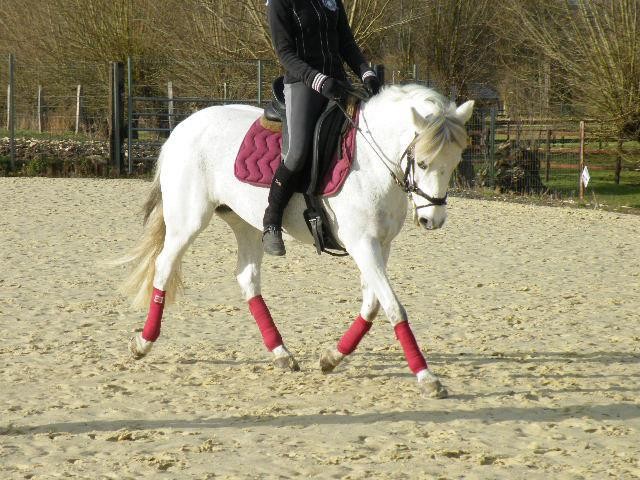 Photo de profil de evapassportlune