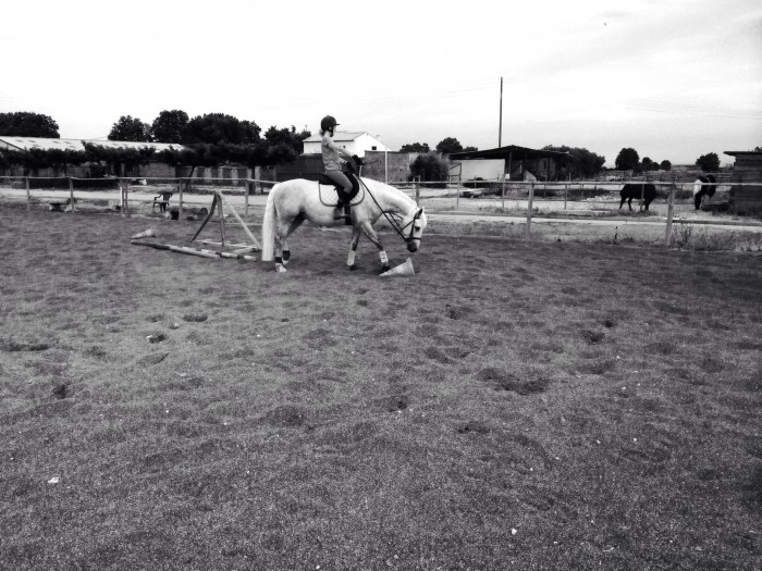 Photo de profil de fanlol07