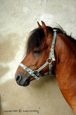 Photo de profil de feemilie