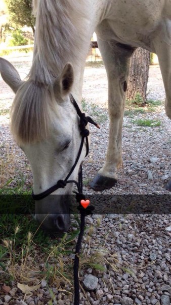 Photo de profil de fernandez83