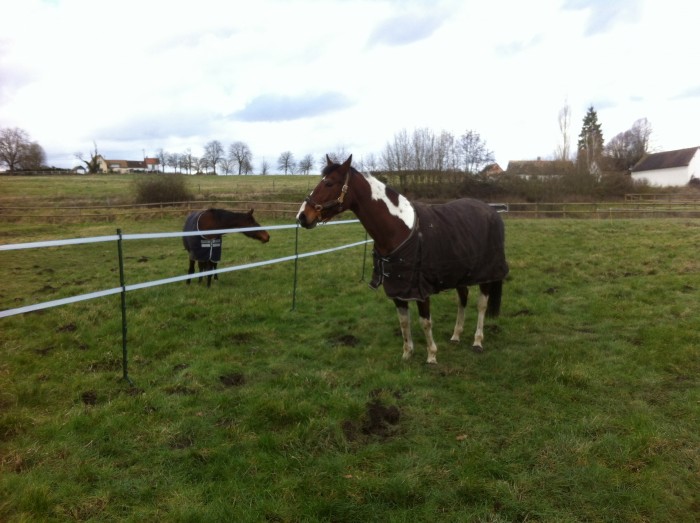 Photo de profil de fifilles