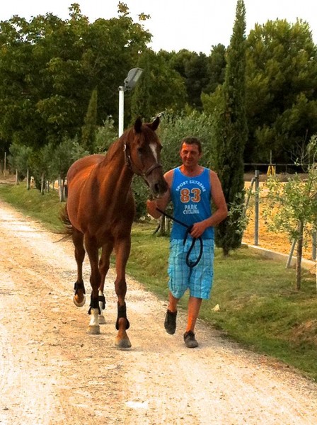 Photo de profil de furtil