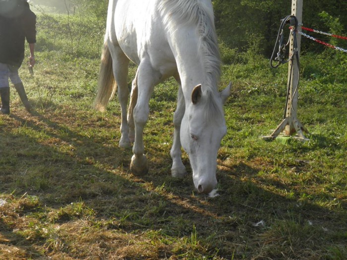 Photo de profil de gaelannep