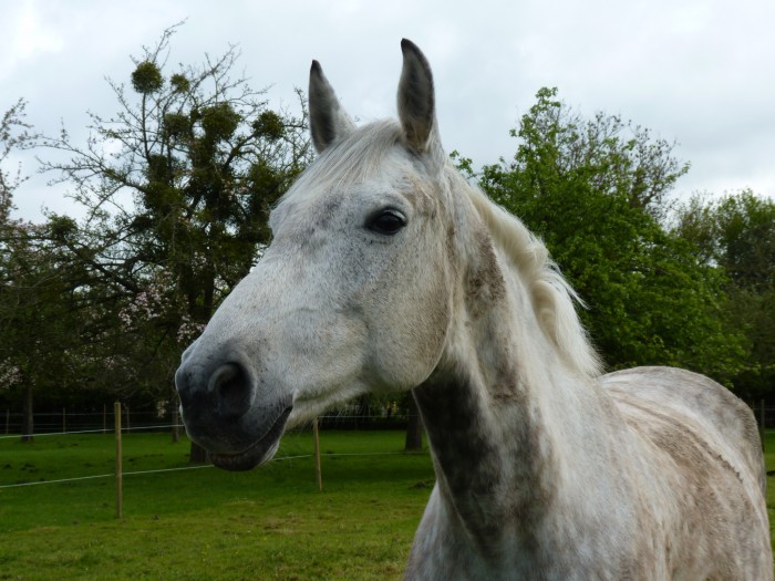 Photo de profil de gaelled98