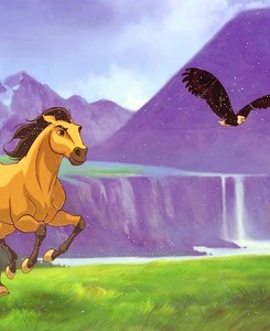 Photo de profil de gimouze