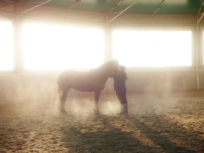 Photo de profil de goldenshiva