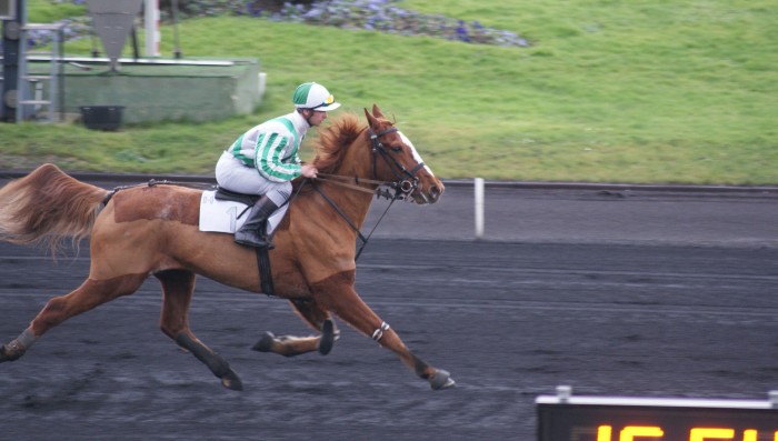 Photo de profil de grignottedu86