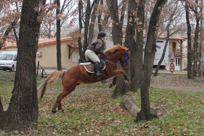 Photo de profil de gwen26160