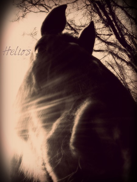 Photo de profil de helios88