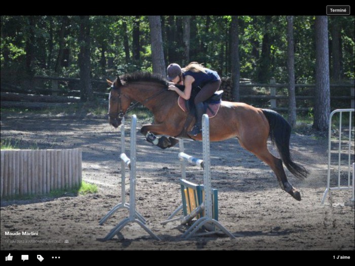 Photo de profil de horsejump77