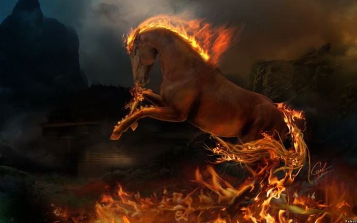 Photo de profil de horselegend