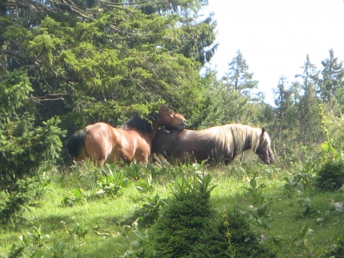 Photo de profil de hyoumietchloe