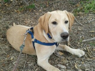 Photo de profil de indra13