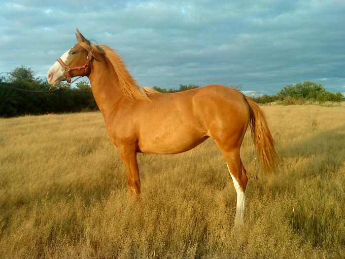 Photo de profil de isa49
